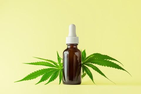 What Can You Look For When Buying Cannabis Oil?