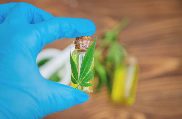 What You Should Know Before Exploring THC Products